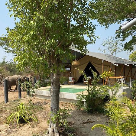 Elephant View Camp Ban Huai Thawai ภายนอก รูปภาพ