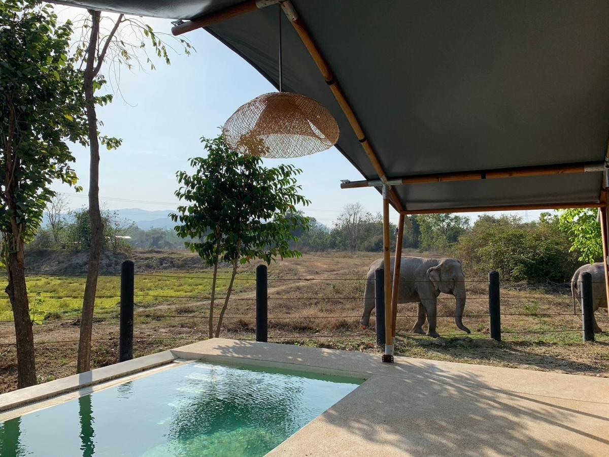 Elephant View Camp Ban Huai Thawai ภายนอก รูปภาพ