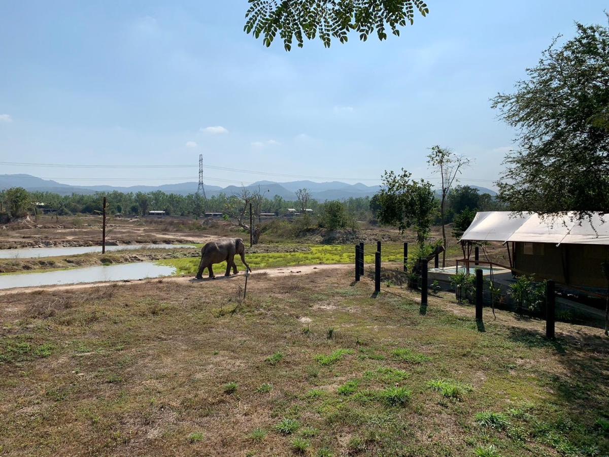 Elephant View Camp Ban Huai Thawai ภายนอก รูปภาพ