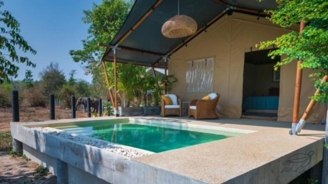 Elephant View Camp Ban Huai Thawai ภายนอก รูปภาพ