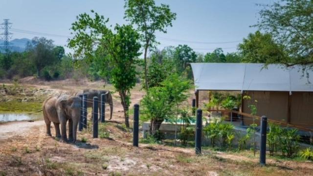 Elephant View Camp Ban Huai Thawai ภายนอก รูปภาพ