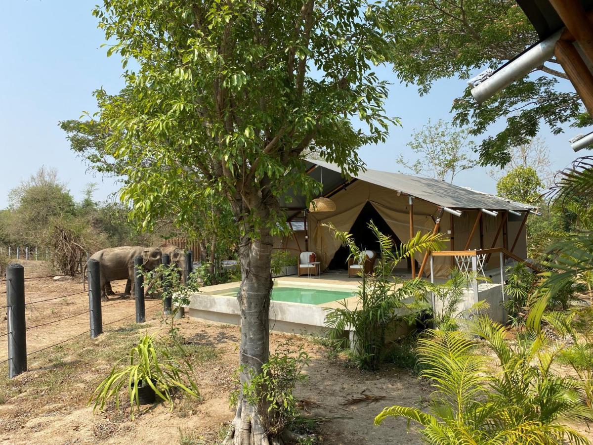 Elephant View Camp Ban Huai Thawai ภายนอก รูปภาพ