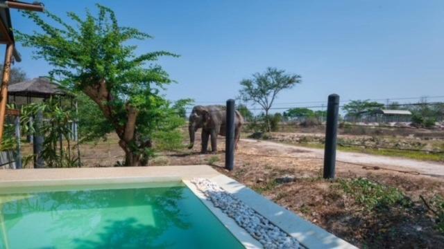 Elephant View Camp Ban Huai Thawai ภายนอก รูปภาพ