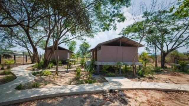 Elephant View Camp Ban Huai Thawai ภายนอก รูปภาพ