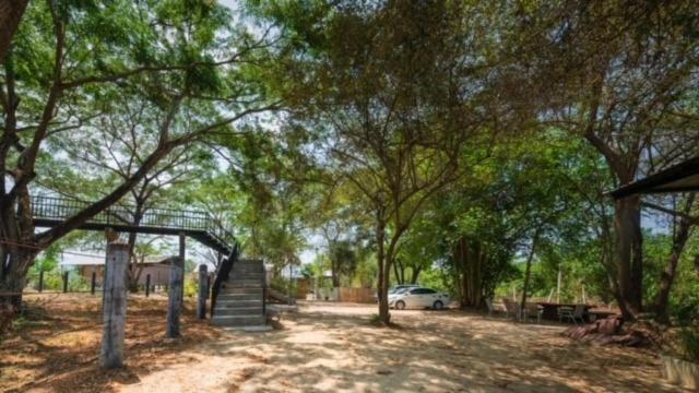 Elephant View Camp Ban Huai Thawai ภายนอก รูปภาพ
